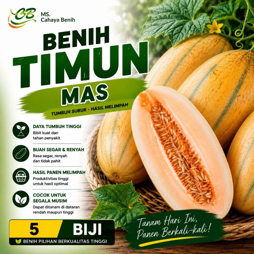 [ 5 BIJI ] Benih timun Mas | bibit biji timun mas