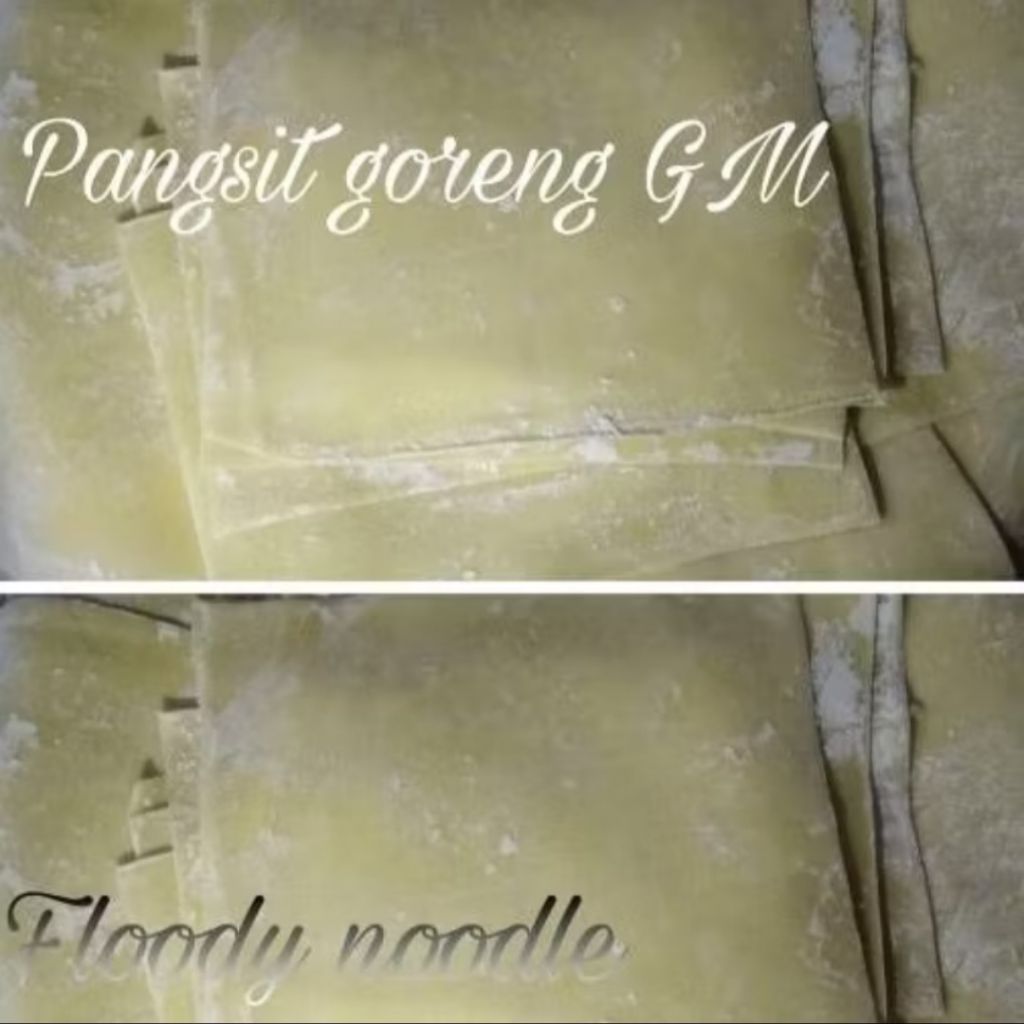 TERLARIS Kulit Pangsit Goreng GM READY