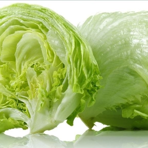 Lettuce Head Fresh / Selada Letus Segar