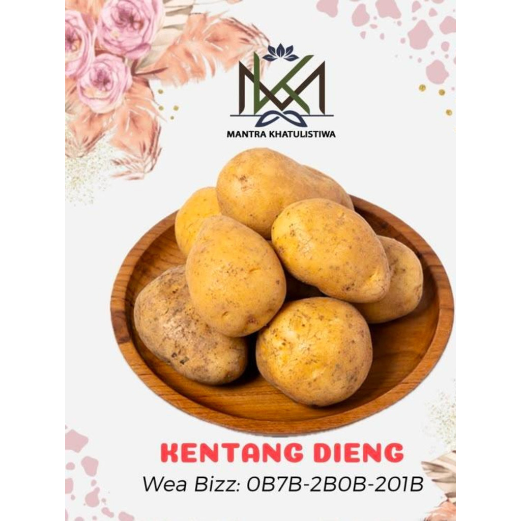 KENTANG DIENG KENTANG DIENG BESAR KENTANG DIENG SUPER
