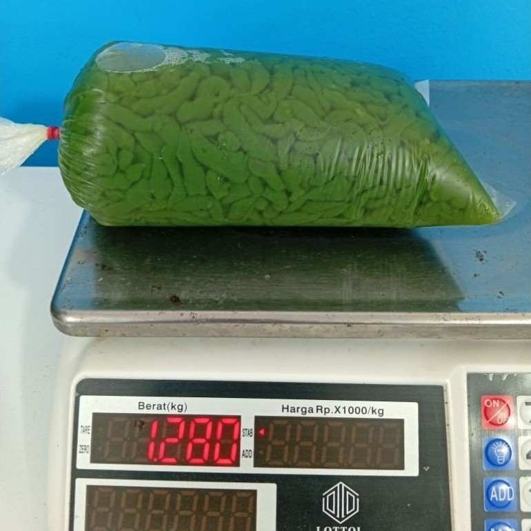 CENDOL SAJA 1,2KG/CENDOL DAWET