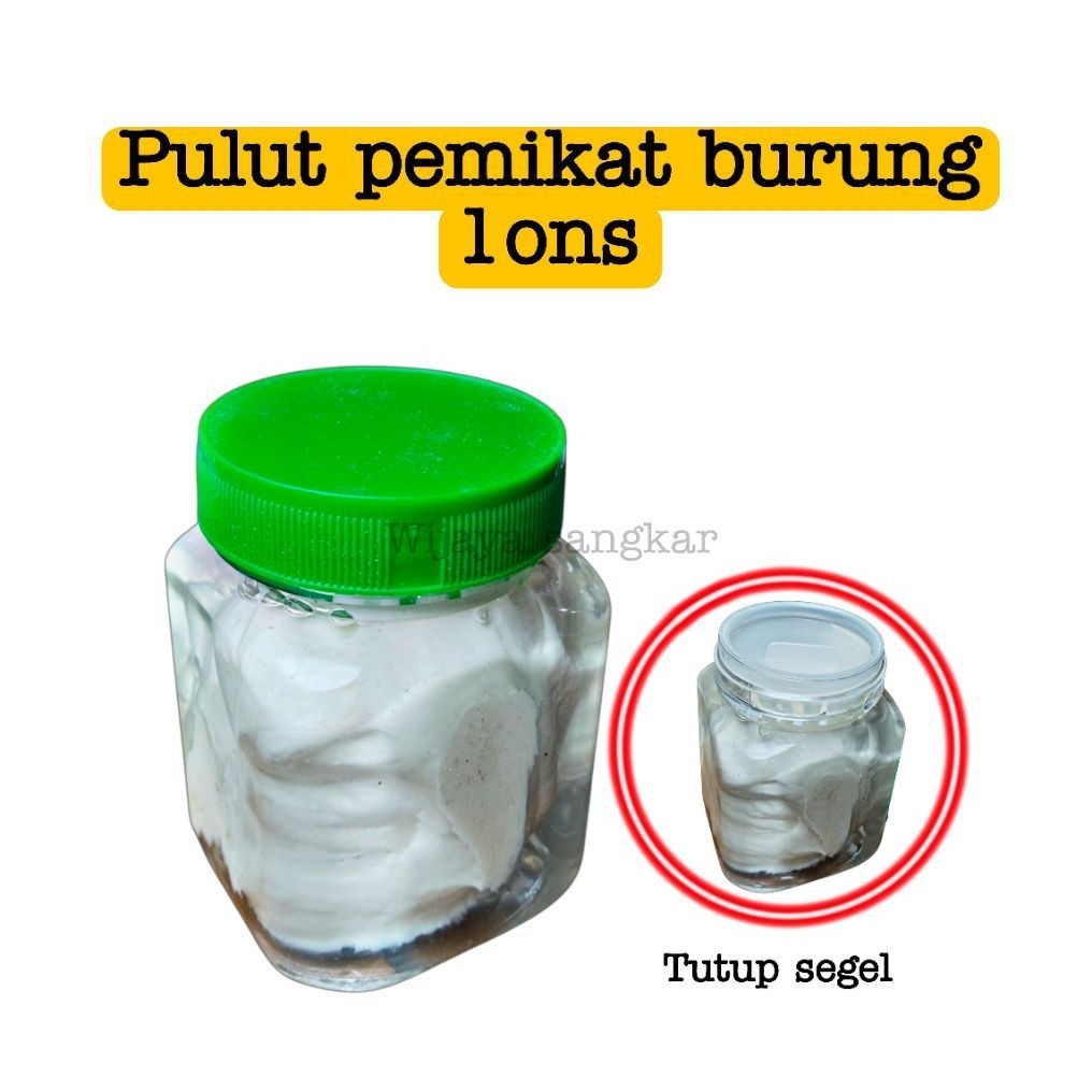 Pulut burung super lengket 1ons pulut burung super lengket