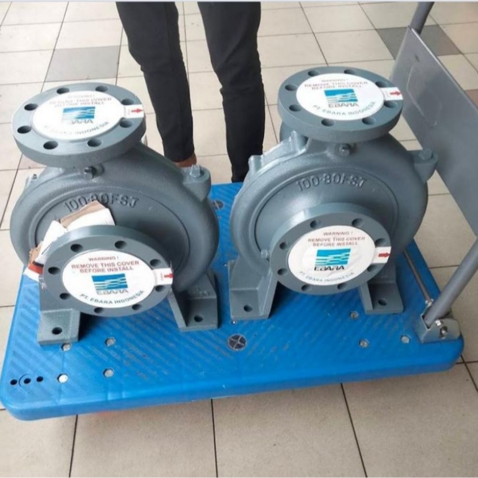 Pompa Ebara 150x125 FSJA GP Pompa Ebara Centrifugal 6"x5"