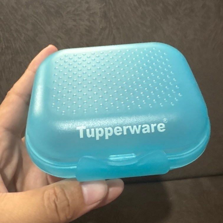 Oyster mini Tupperware