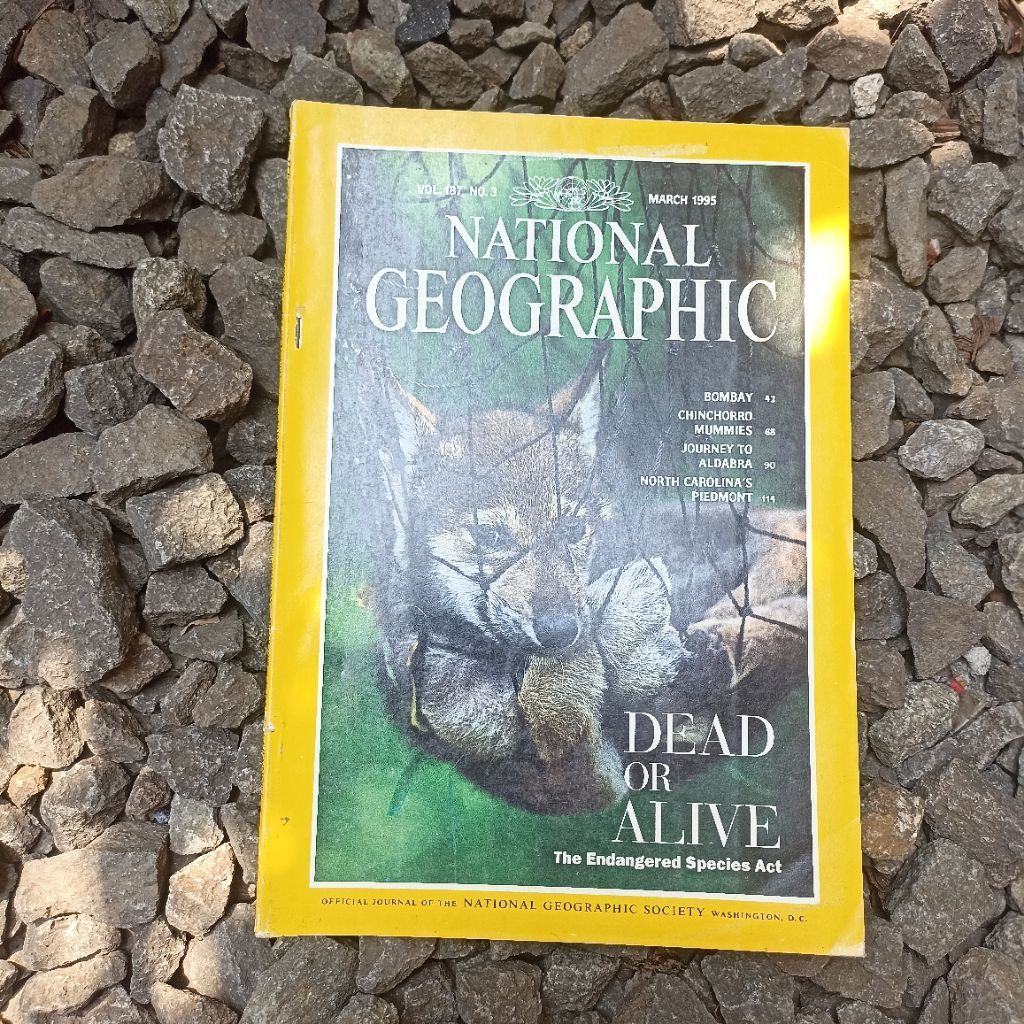 NATIONAL GEOGRAPHIC DEAD OR ALIVE