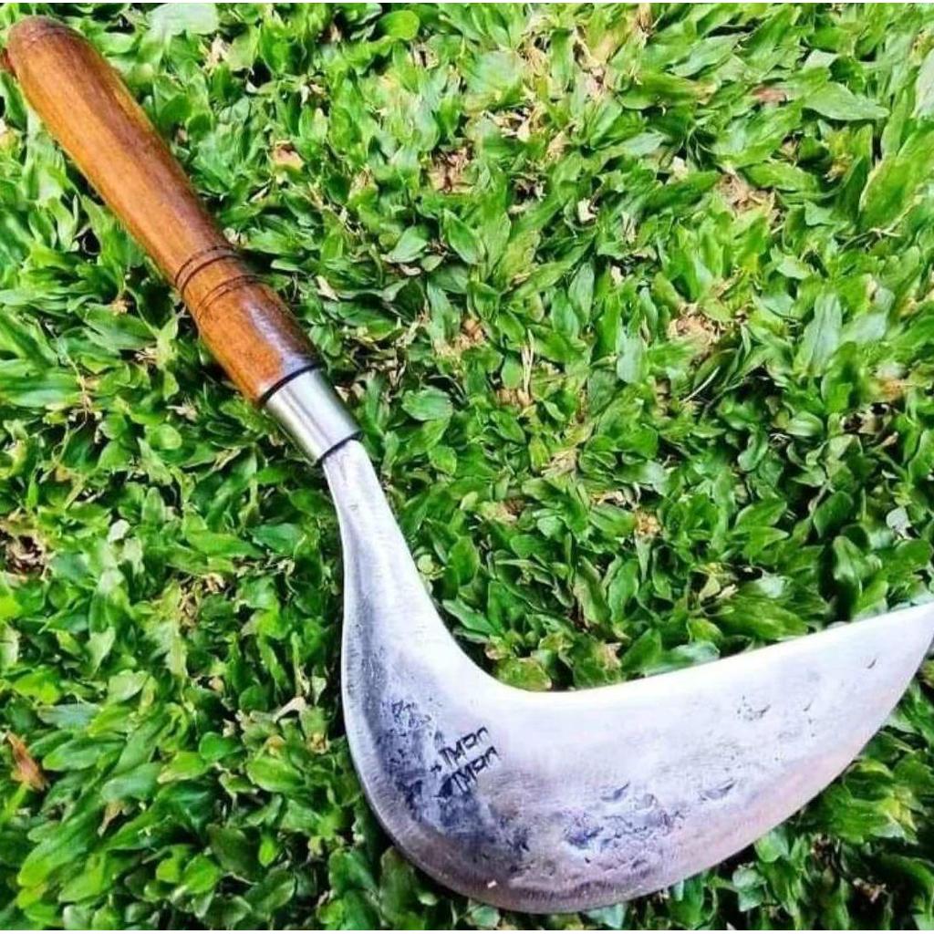 Arit Rumput Dewi Bintang Original