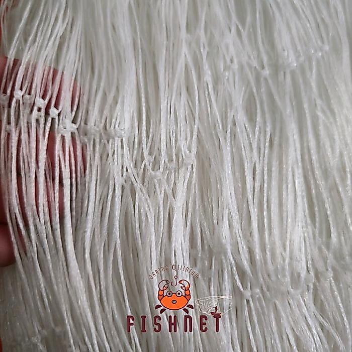 JARING MILENIUM/JARING PINTAL/JARING PLY/ 6INCI 12PLY 60MD 100YDS TATE