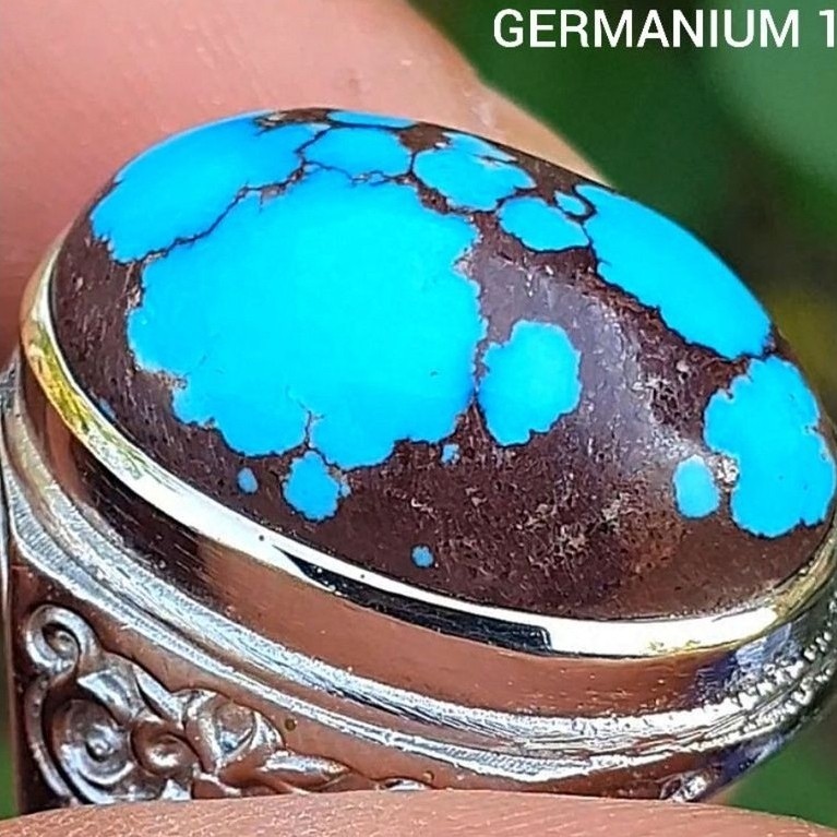 pirus mesir lawasan u6