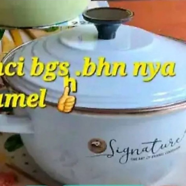 panci filamin
