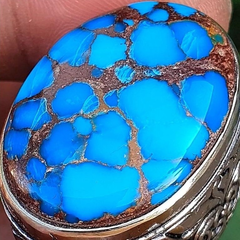 pirus mesir lawasan 89