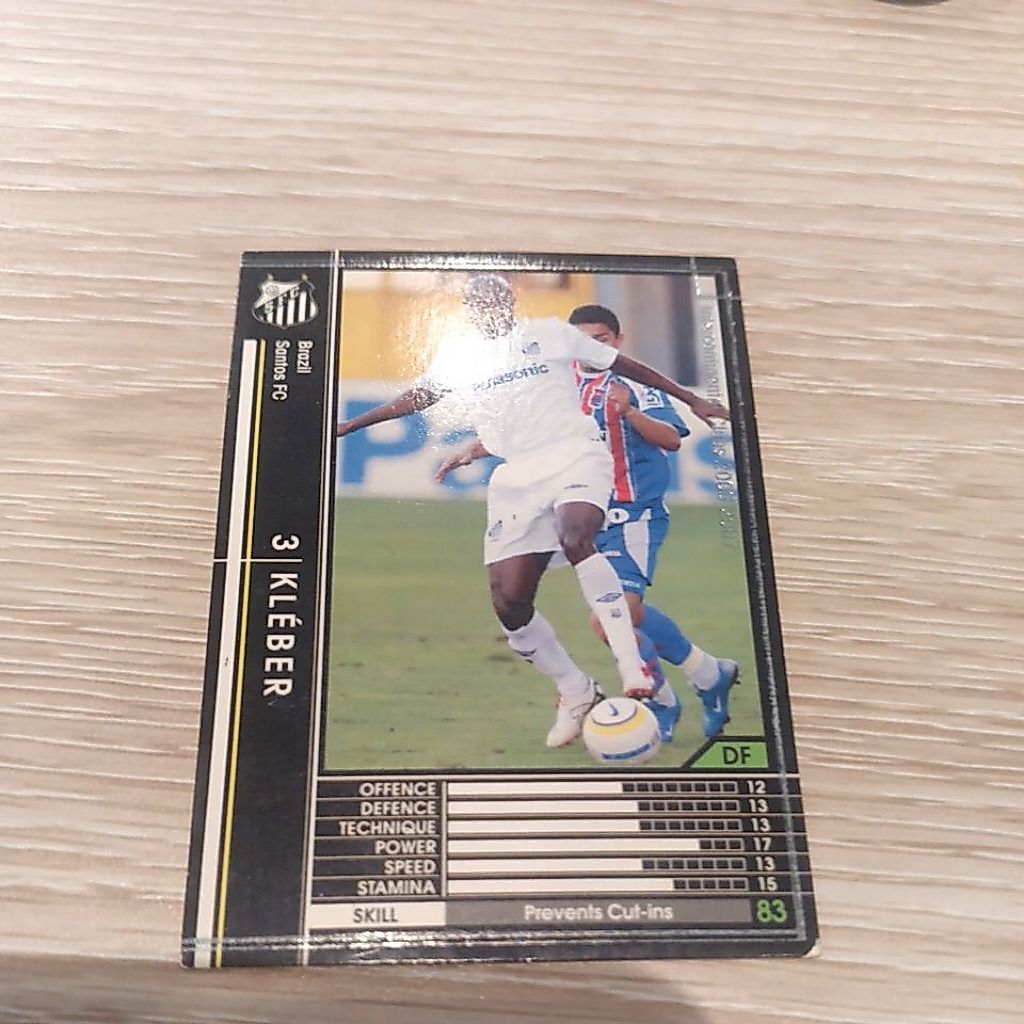 kartu bola panini wccf 2006/2007 Santos