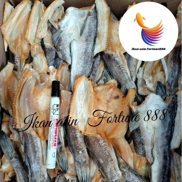 Ikan Asin Gabus Toman Asli Kalimantan Kualitas Premium Seafood