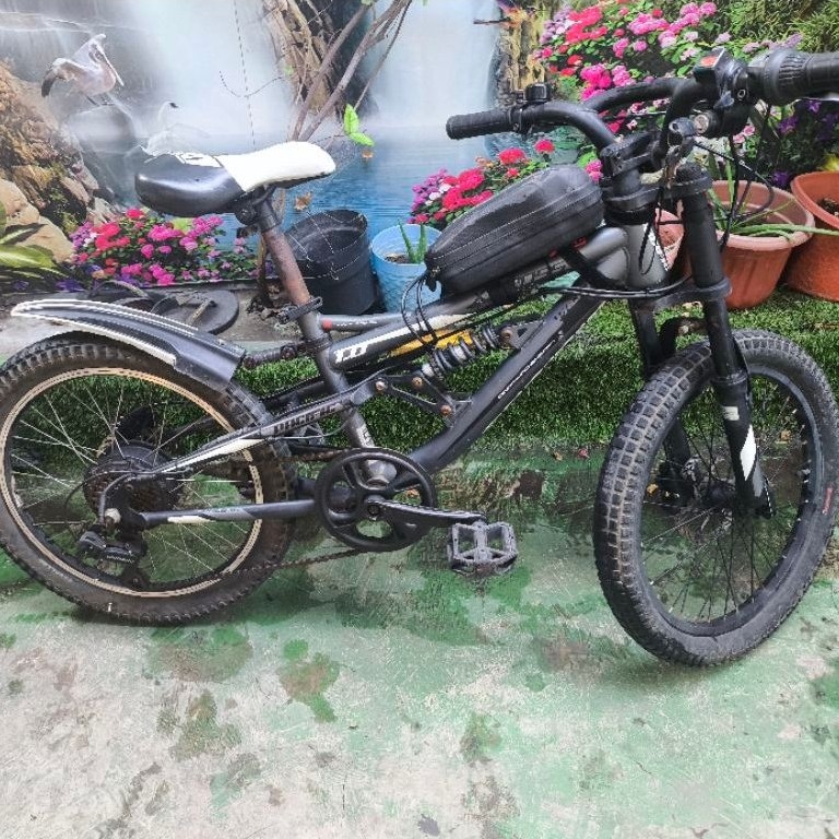 Sepeda MTB Anak Pacific X-Cross 1.0 modifikasi Selis