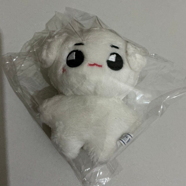TYONGYA DOLL TAEYONG NCT 10cm