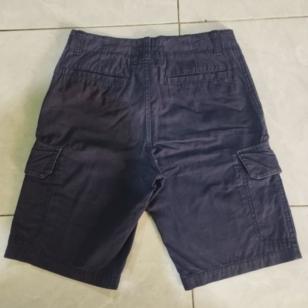 Celpen Cargo GAP