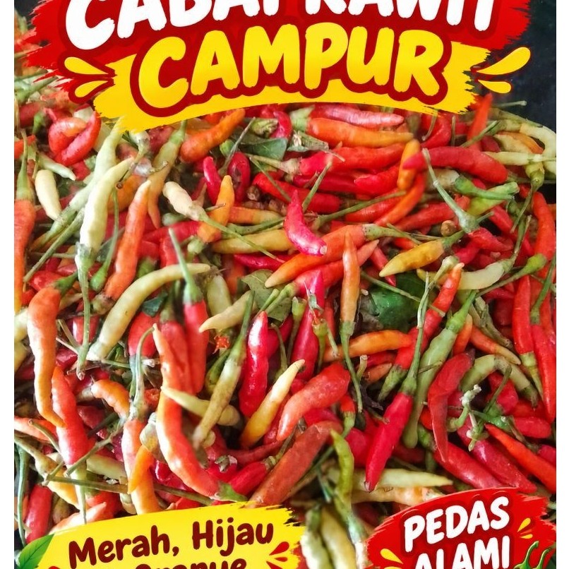 Cabai rawit campur. 1 KG.