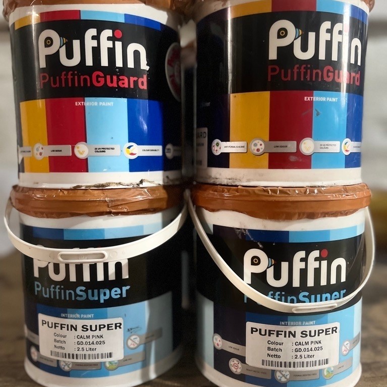 Cat Dinding Puffin Paint