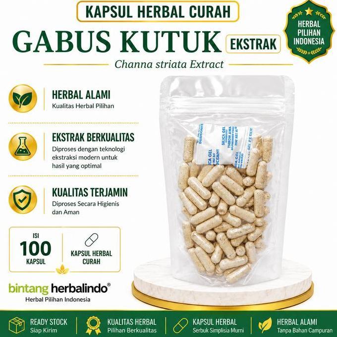 Farma- Ikan Gabus Kutuk 100 Kapsul Herbal Curah Ekstrak 600 Mg Channa Striata
