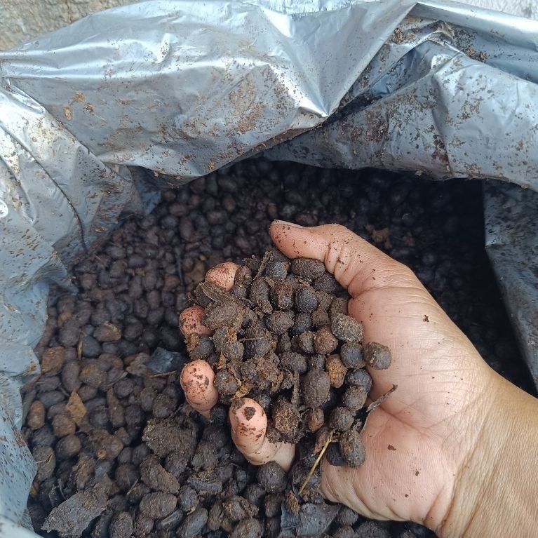 Fermentasi Kohe kambing 1Kg | Terfermentasi M21 Kohe Kambing per 1Kg