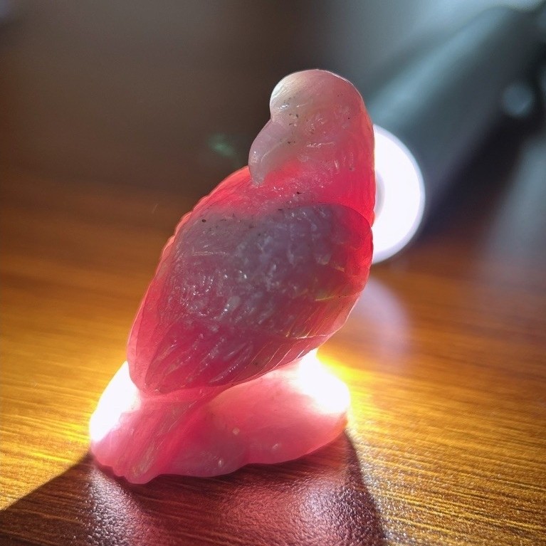 NATURAL RUBY IN ZOISITE  carving + MEMO GRI 583