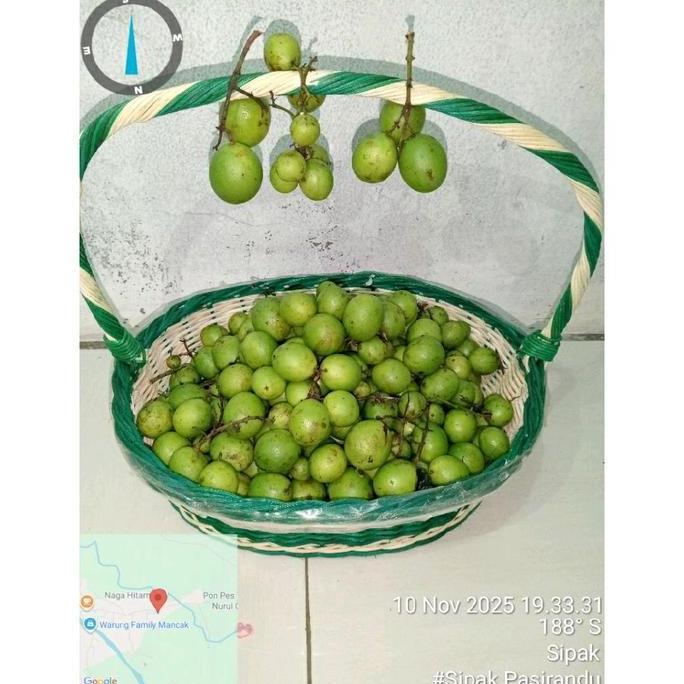 DISKON BUAH JATAKE GANDARIA RAMANIA Frozen