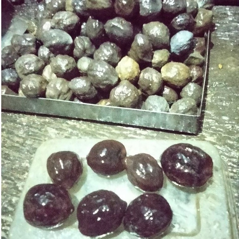 Muncang Adu / Kemiri aduan GARUT