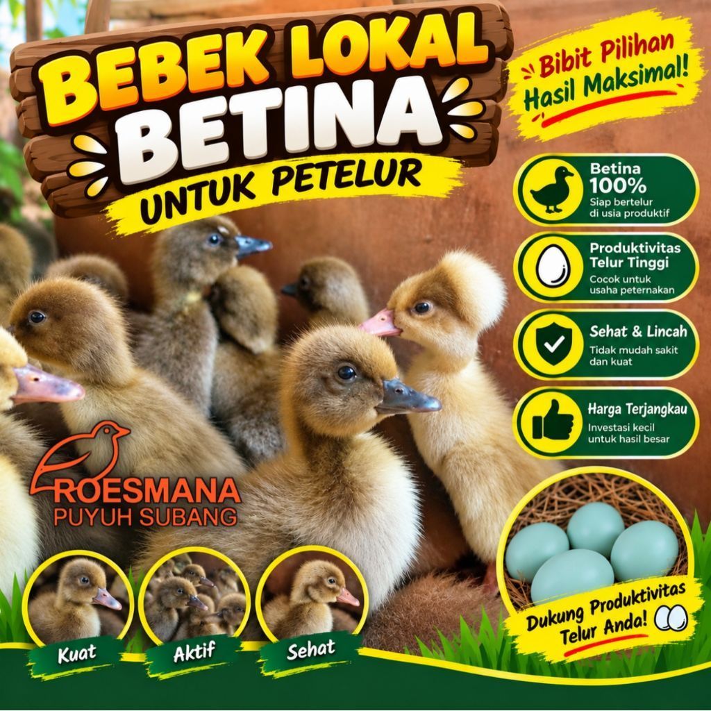 DOD BEBEK LOKAL BETINA