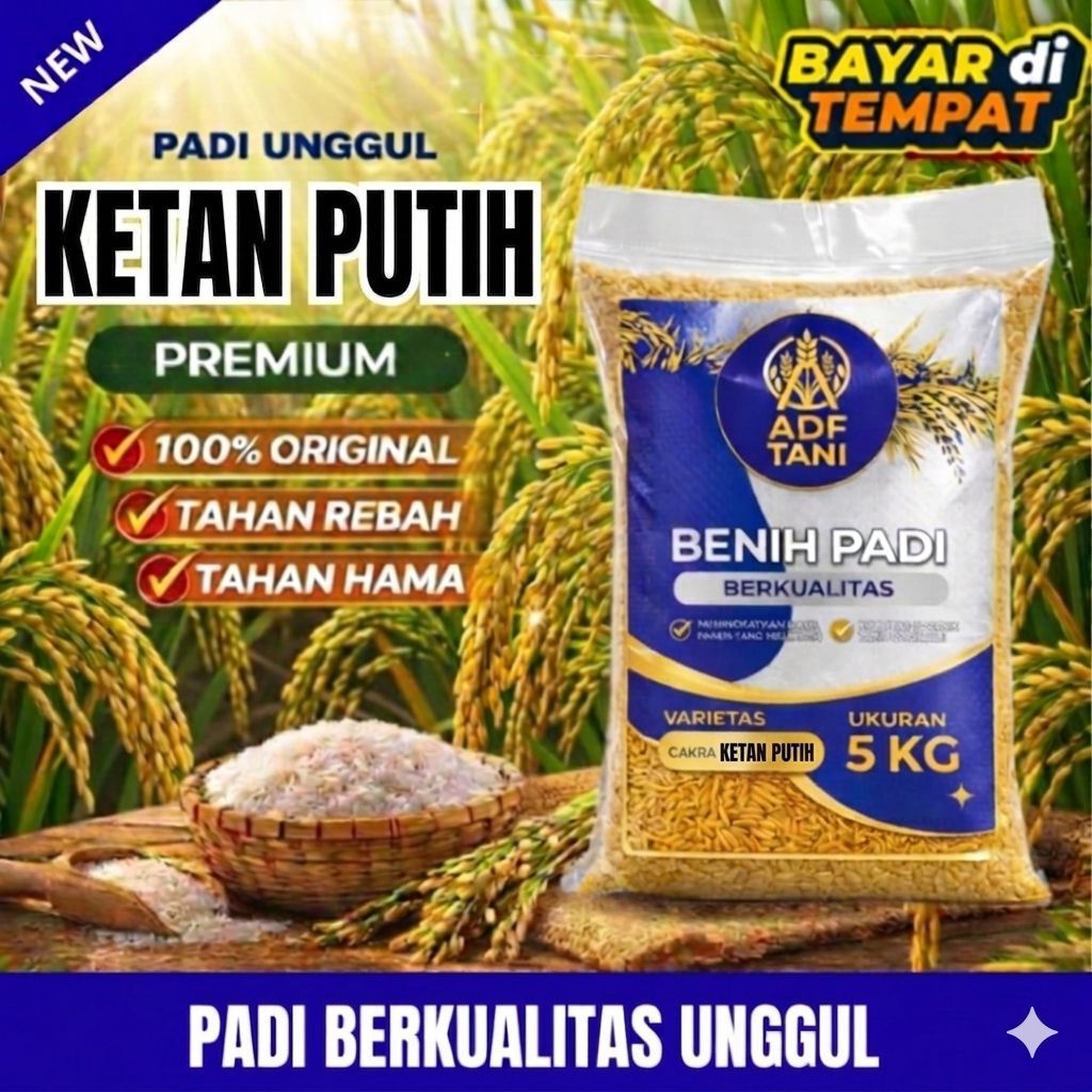 Benih padi unggul KETAN PUTIH kemasan 5kg