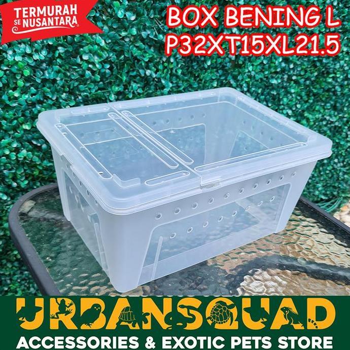 BOX BENING  KANDANG PACMAN BALL PHYTON RETIC KADAL