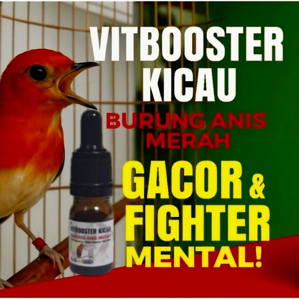 Vitamin Anis Merah Cepat Teler Gacor | VitBooster Anis Merah Volume Keras & Rajin Bunyi