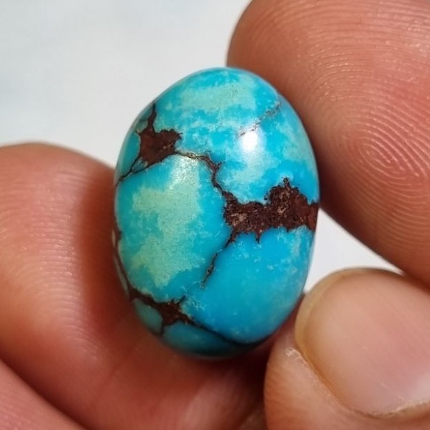 Natural pirus mesir