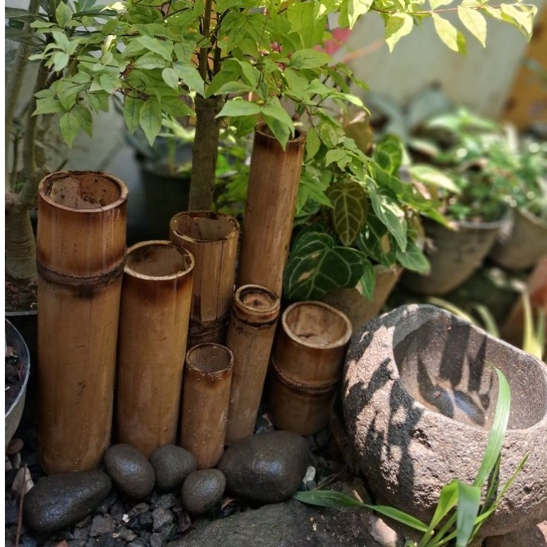 Bambu Alami untuk Hiasan Rumah pagar taman pembatas tanaman