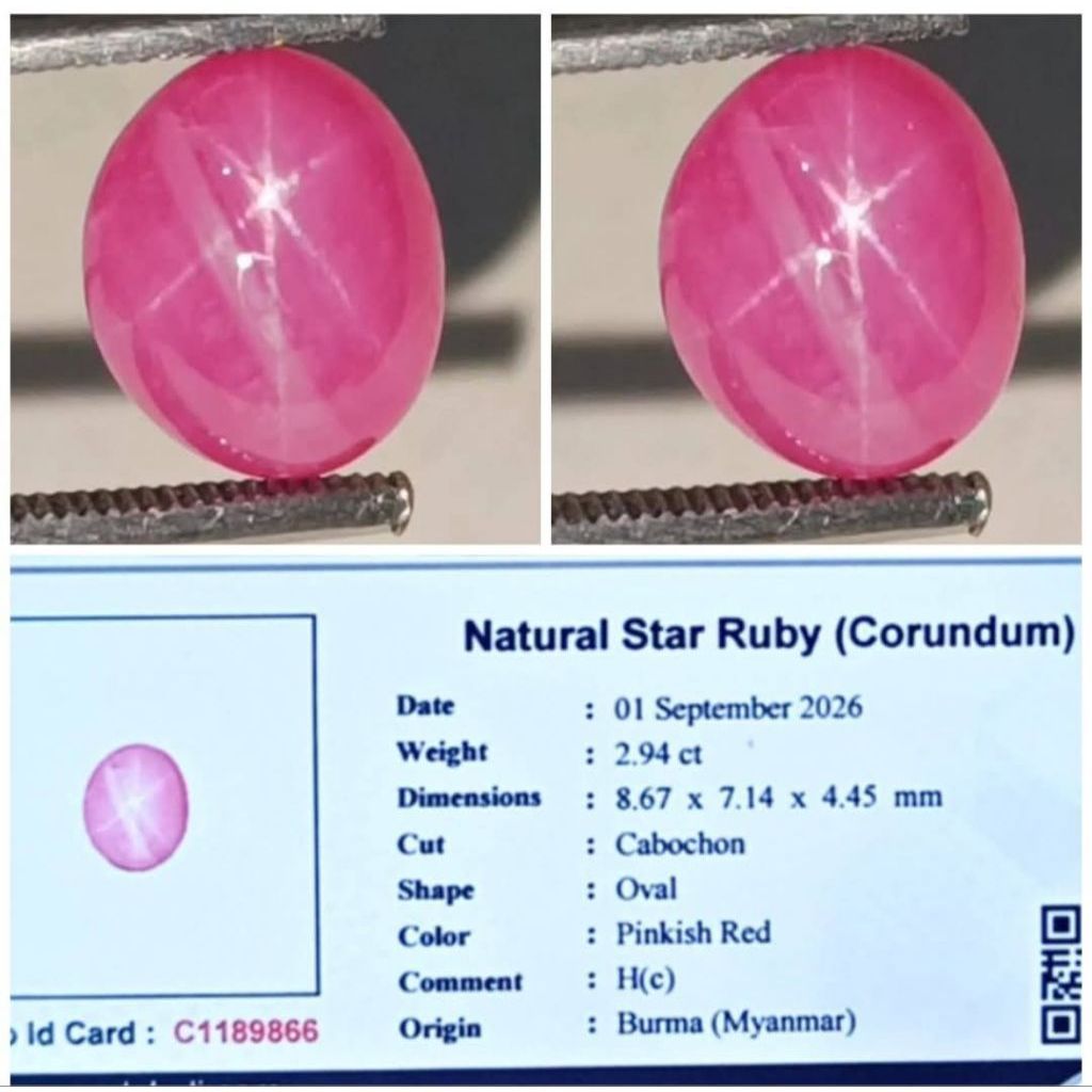 Natural Hot Pink Star Ruby Burma 2.94 crt Top Hq Star Cakep Pinkish Red Burmerse Siam Mogok Memo Lab