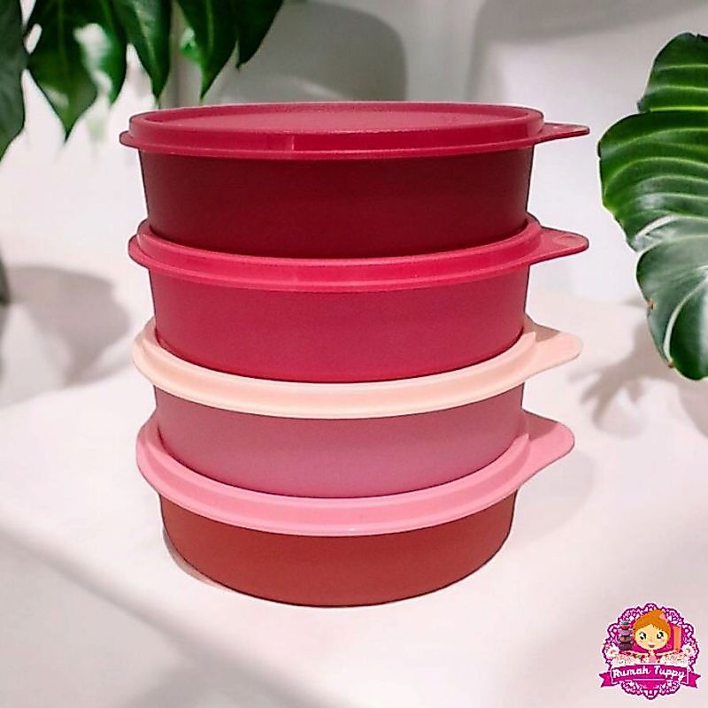 Promo Wadah Tempat Makanan Cemilan Snack Sayur Lauk Large Handy Bowl Tupperware Tuppy Murah