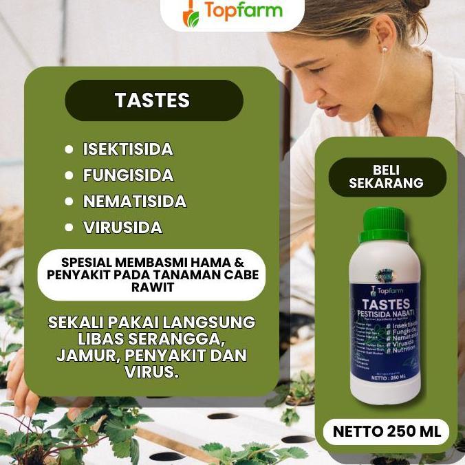 Gard- Pestisida Untuk Pohon Cabe Rawit / Pestisida Khusus Tanaman Cabe Rawit / Pestisida Buah Cabe R