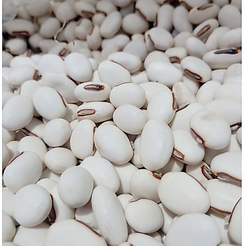 Kacang Koro Pedang Binong Mentah 1 KG