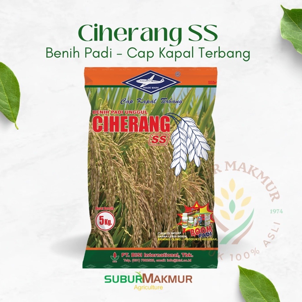Benih Padi Ciherang SS - Cap Kapal Terbang - 5kg