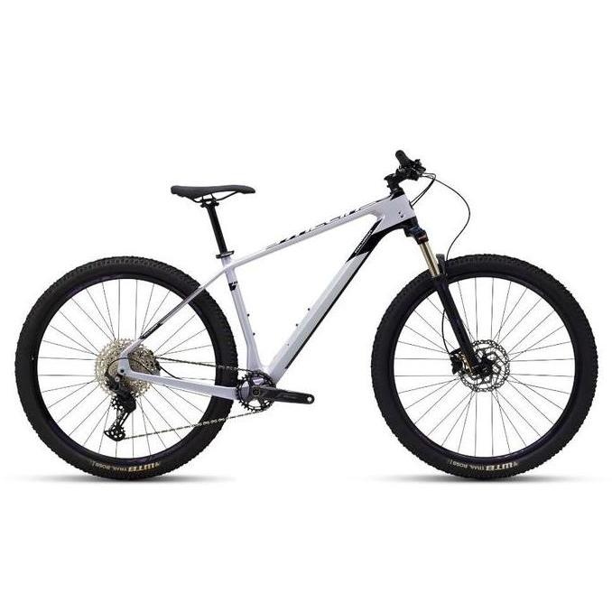 Promo Polygon Sepeda Gunung Mtb Carbon Syncline C2