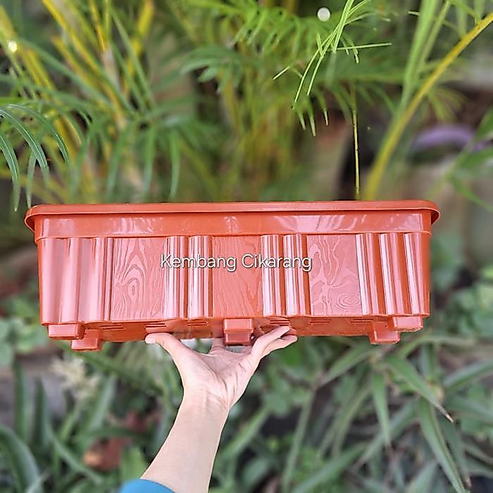 (1Pc) Pot Ss Meranti Segi Panjang 50 (48*17) Pot Bunga Kotak Segi Panjang Murah Bagus Pot Alpen Pot