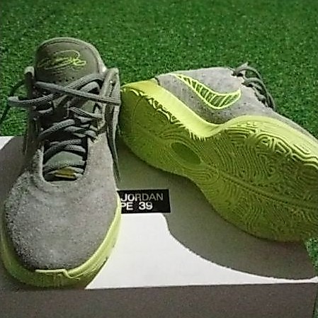 Sepatu Nike LeBron XXI EP "ALGAE" Size 44