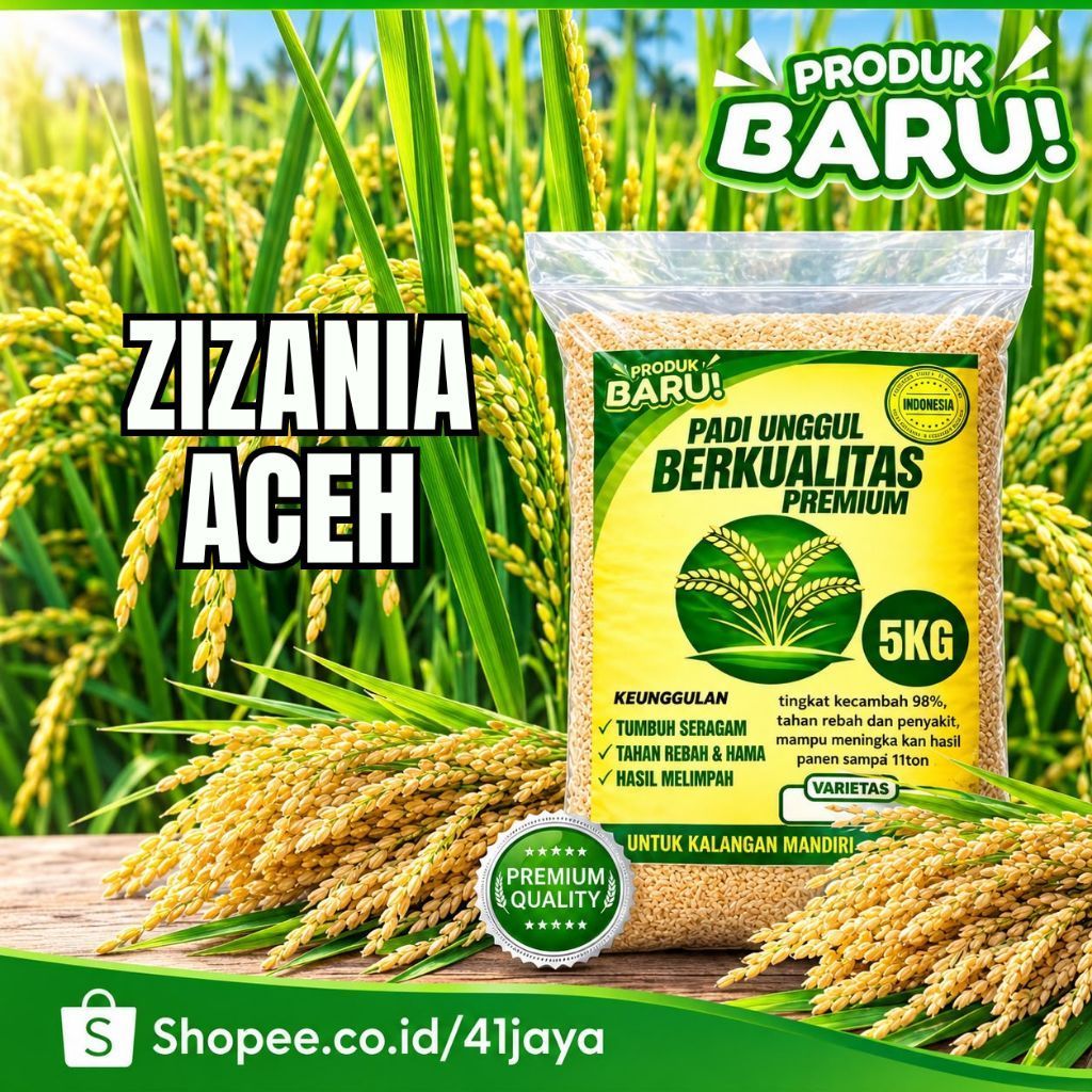 Benih padi ZIZANIA ACEH kemasan 5kg