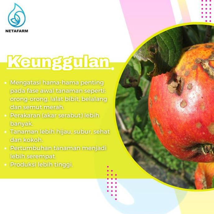Promo Pestisida Insektisida Fipronil BASF REGENT RED 50 SC - 100ml Diskon