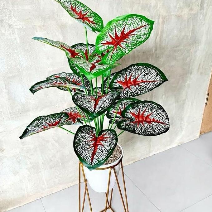 SUUMMERS COD / KELADI MERAH ARTIFICIAL JUMBO Latex Pot Tanaman