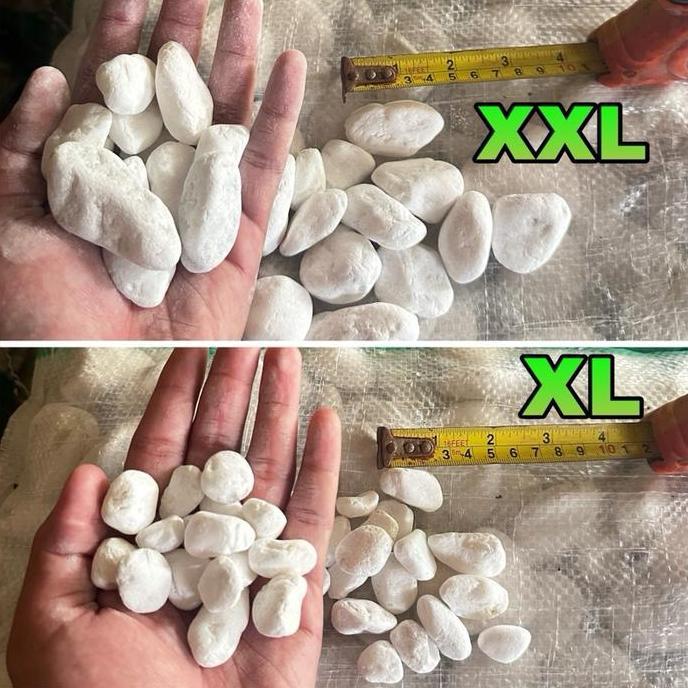 Life- Batu Koral Putih Italy Import 10Kg Via Cago