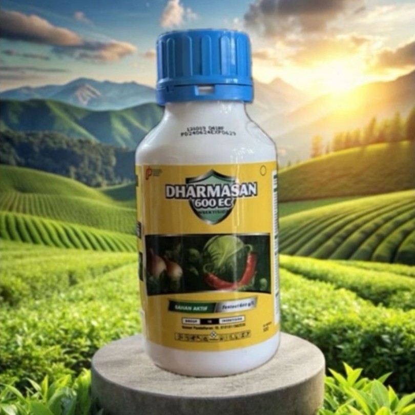 DHARMASAN 600EC OBAT HAMA ATAU TIKUS SAWAH 500 ML