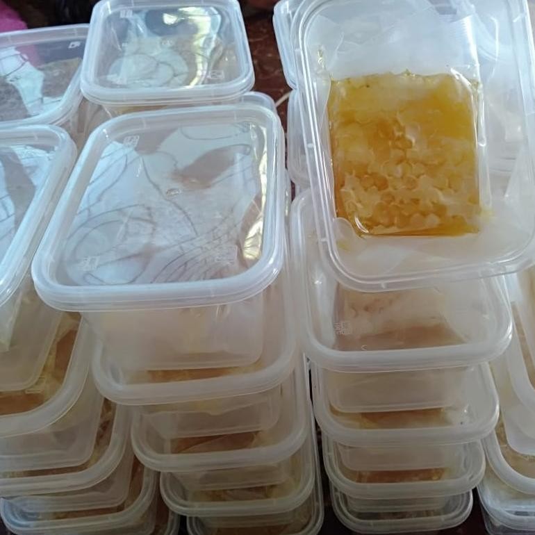 

(Terbaru) MADU SARANG ASLI madu sarang/sarang madu/honeycomb 100 gram FREE BOX (Terlaris)