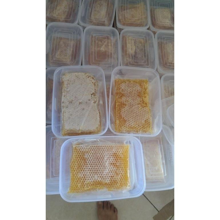 

(Terbaru) MADU SARANG ASLI madu sarang/sarang madu/honeycomb 500 gram (Terlaris)