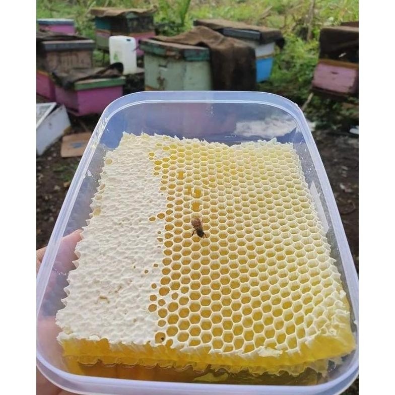 

(Terbaru) Madu Sarang Asli/MaduRabbani/Madu asli/madu manis (Terlaris)