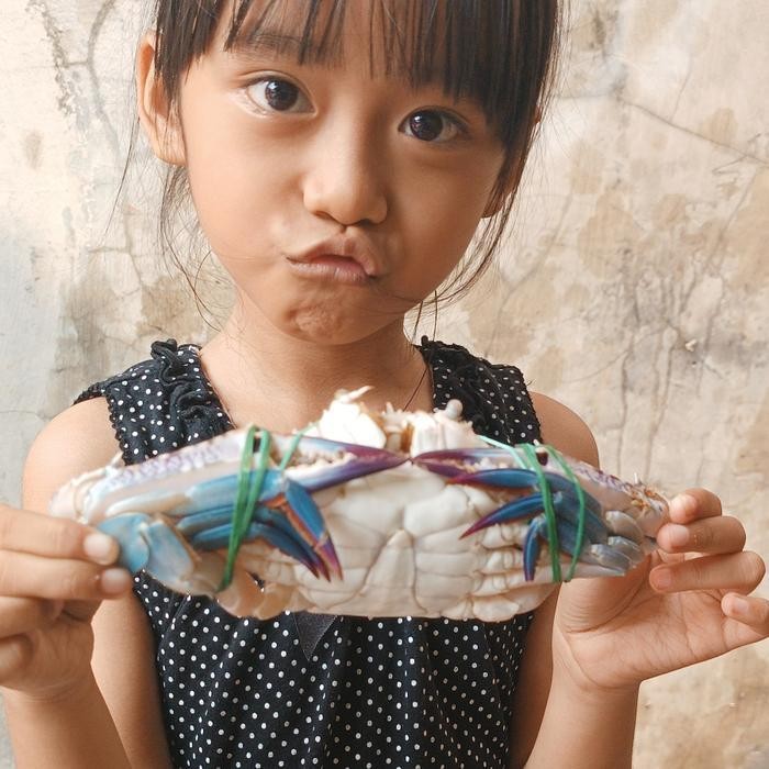 

LS Kepiting Rajungan Segar Frozen 1Kg - PT Rivel Group, Ukuran 4-7 pcs/kg random - Rajungan