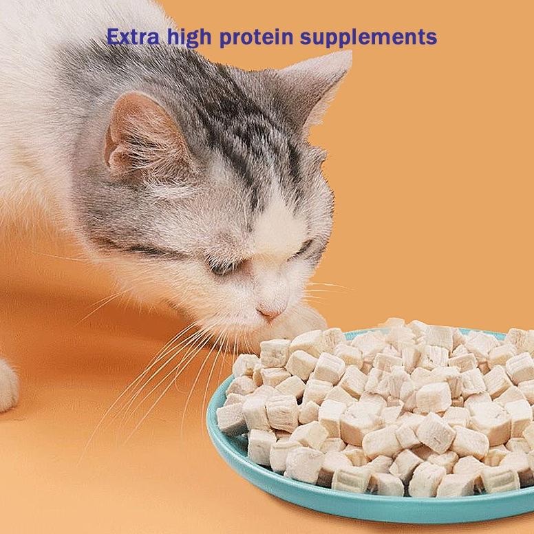Bitya Freeze Dried Pet Snack For Dogs Cats 100 Gram Daging Ayam Kering Raw Food Snack Kucing Anjing 
